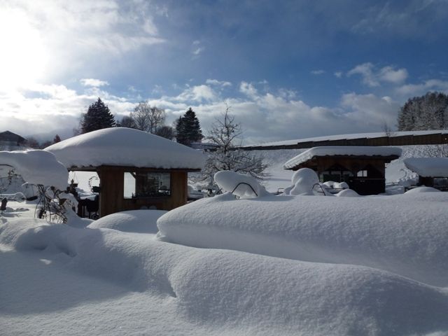 Wiesingbauer