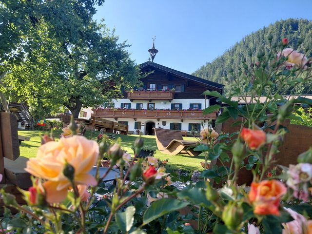 Bergerbauer